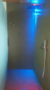 IMG_9979.JPG