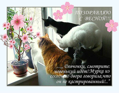 a5ef69aacbd9.jpg