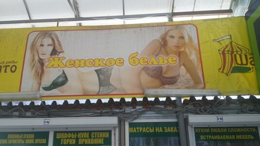 image.jpeg