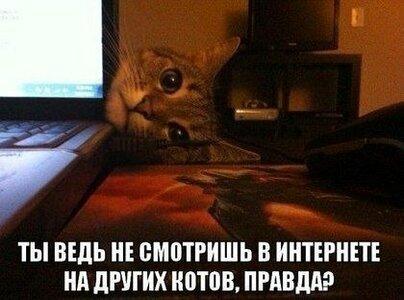 image.jpeg
