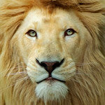 avatar49109.jpg