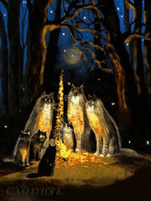 0a0e199abcae8496a7f31a1c730dbf0f.gif