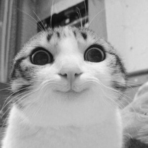 tumblr_n8voqiLLT61rjdsxto1_1280.jpg