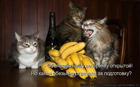 01.jpg