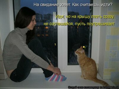 kotomatritsa_0.jpg