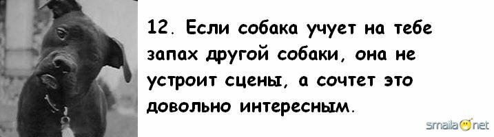 1227115375_12.jpg