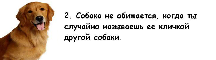1227024563_002.jpg