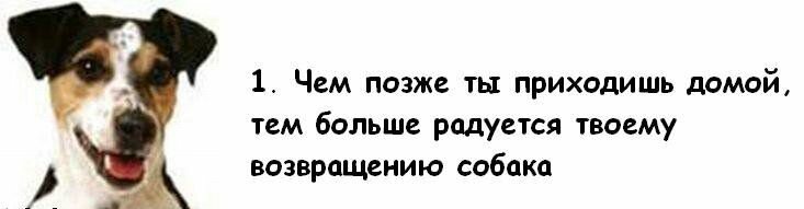 1002.jpg