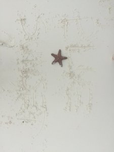 IMG_5331.JPG