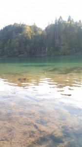 IMG_20180724_185159.jpg
