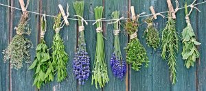 67ec2069306a54fc1d1c1.jpg 67ec2069306a54fc1d1c1.jpg