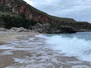 76e7b572-b8e6-4dd9-a7f8-c10bb54addf2.JPG