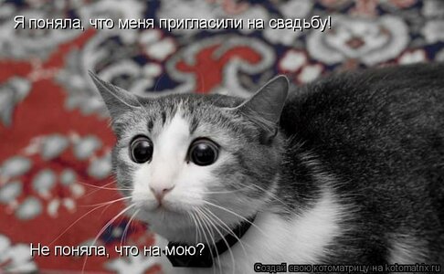 index.php9.jpg