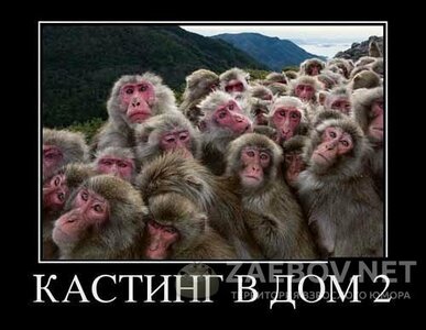 1456315945_image-10.jpg