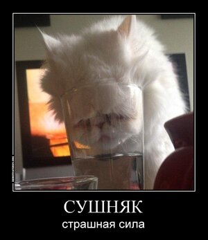 biglVbW7PEQi2xk.jpg