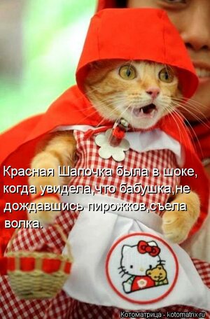kotomatritsa_-q.jpg