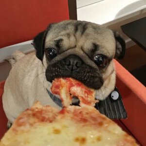 image.jpeg
