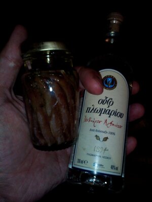 IMG-1459109864666-V.jpg