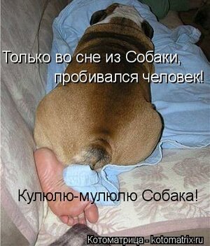 000000000.jpg