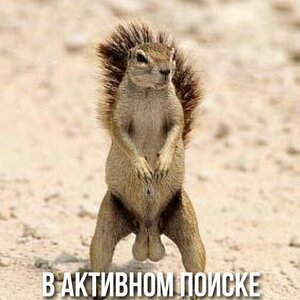 tmp_22456-MtRKT-owjqY798094550.jpg