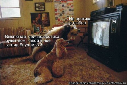 967376.jpg