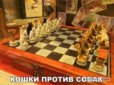 7491534.jpg