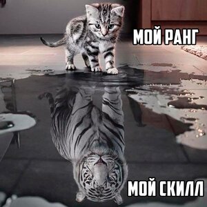 image.jpeg