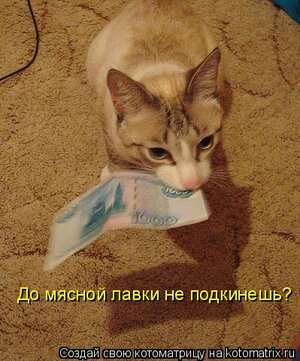 787031.jpg