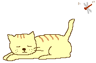 koshkia-209.gif