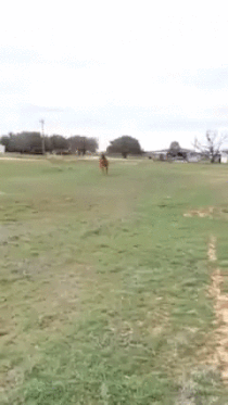 IMG_20160408_010427_41.gif