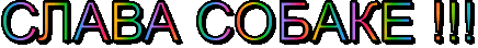 text.gif