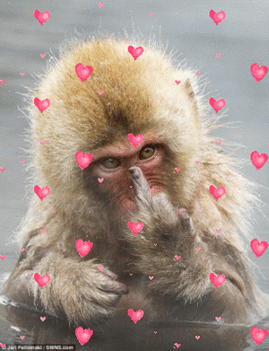 bloggif_5707c53b816e5.gif