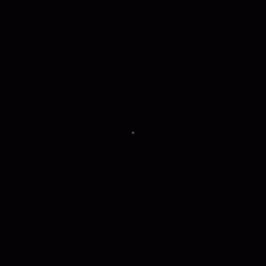 555.gif