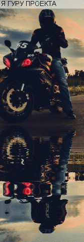 bloggif_5707cefa08106.gif