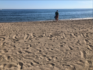 upload_2019-5-29_7-47-40.png