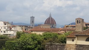20190523_141244.jpg