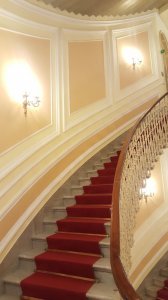 20190602_084858.jpg