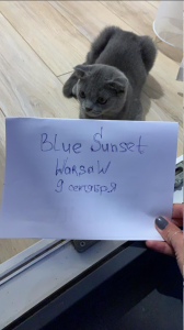 upload_2019-9-9_23-46-48.png