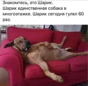 1585669585200.png