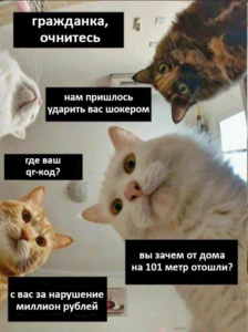 1585684366200.png