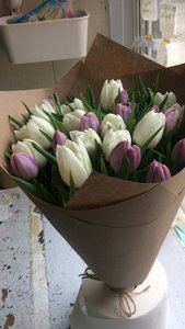 1F71D368-93EF-4CD8-AA4F-BD5554F75877.jpeg