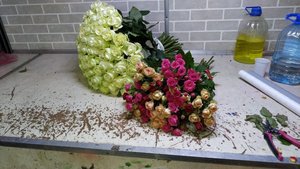 448CF25E-1A2D-4A06-AE42-2AA47B79EF34.jpeg