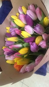 873A0CF0-B510-424D-9219-7C387C5B3C41.jpeg