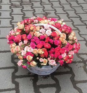 654FF688-06E1-4DEB-9F0F-E339A2DB2503.jpeg