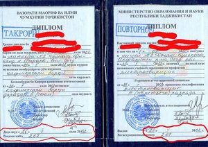 Диплом - 0002 — копия1.jpg