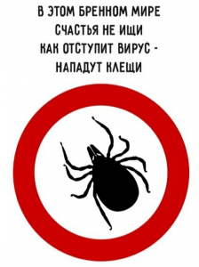 1587630300228.png