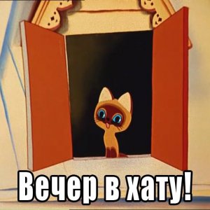 0tUhft1d2-8.jpg