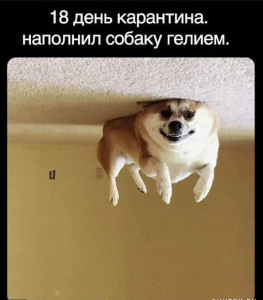 1588014088316.png