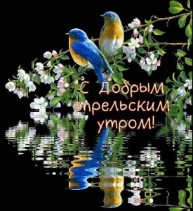 IMG_20200428_092445_402.jpg