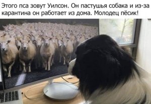1585898467145971230.jpg